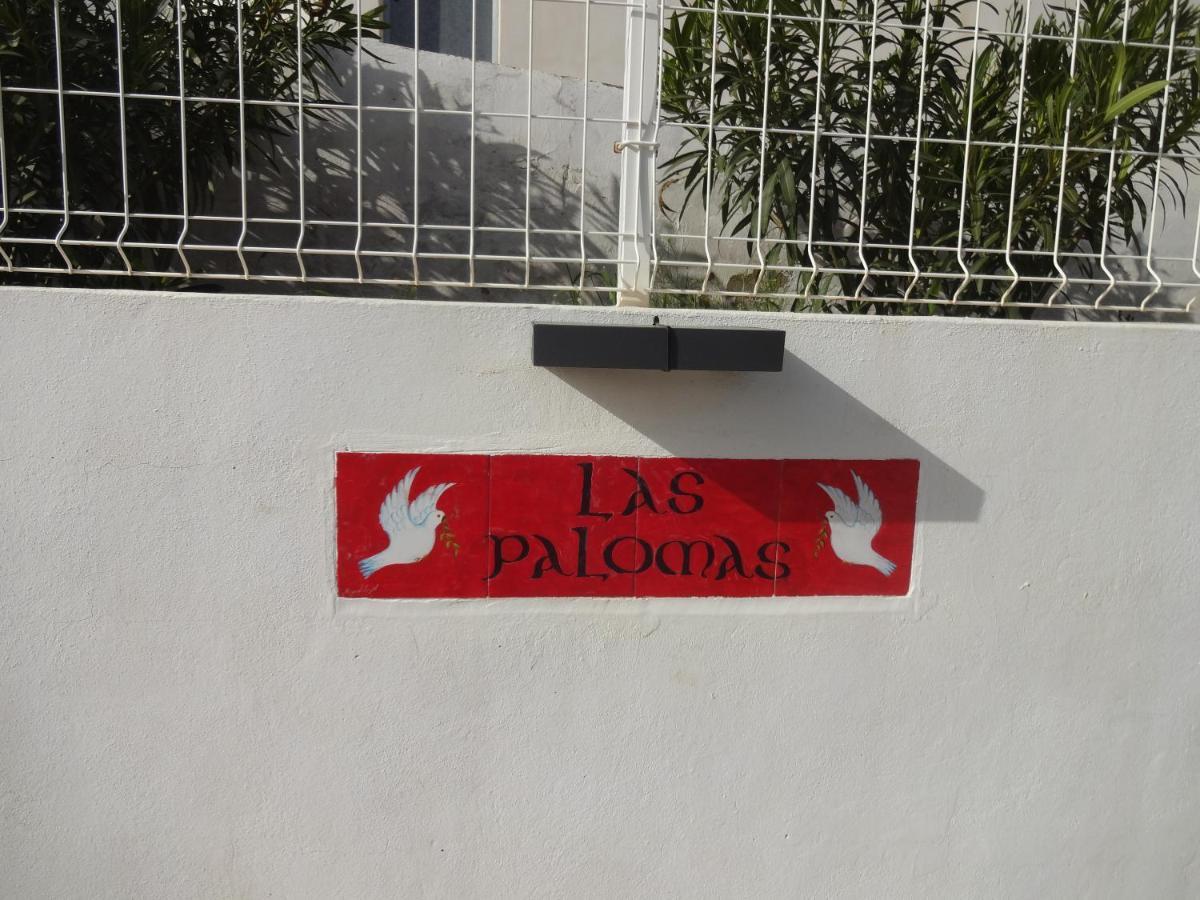 Las Palomas, Appartement 3 Chambres Avec Piscine Turís 外观 照片