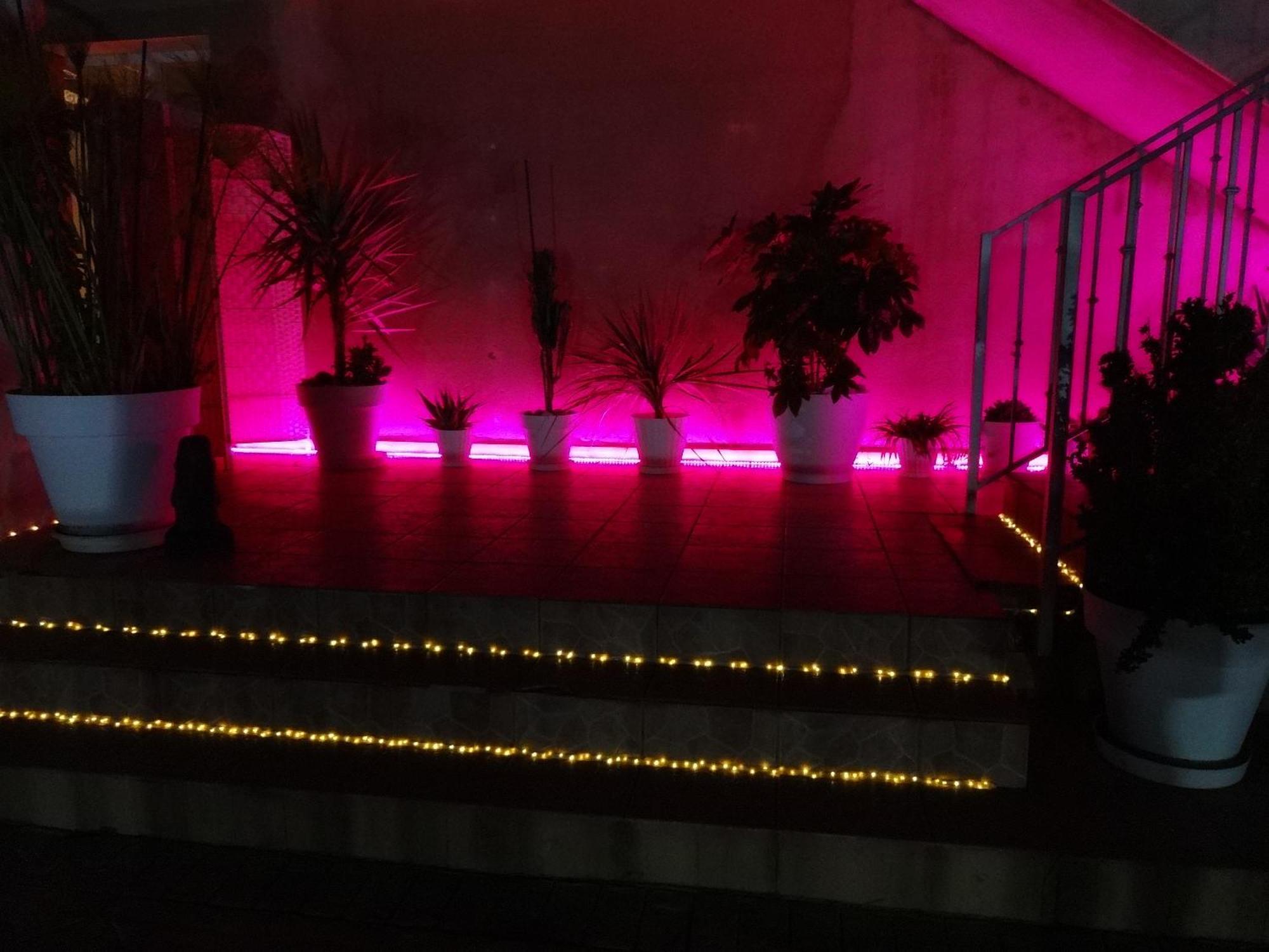 Las Palomas, Appartement 3 Chambres Avec Piscine Turís 外观 照片